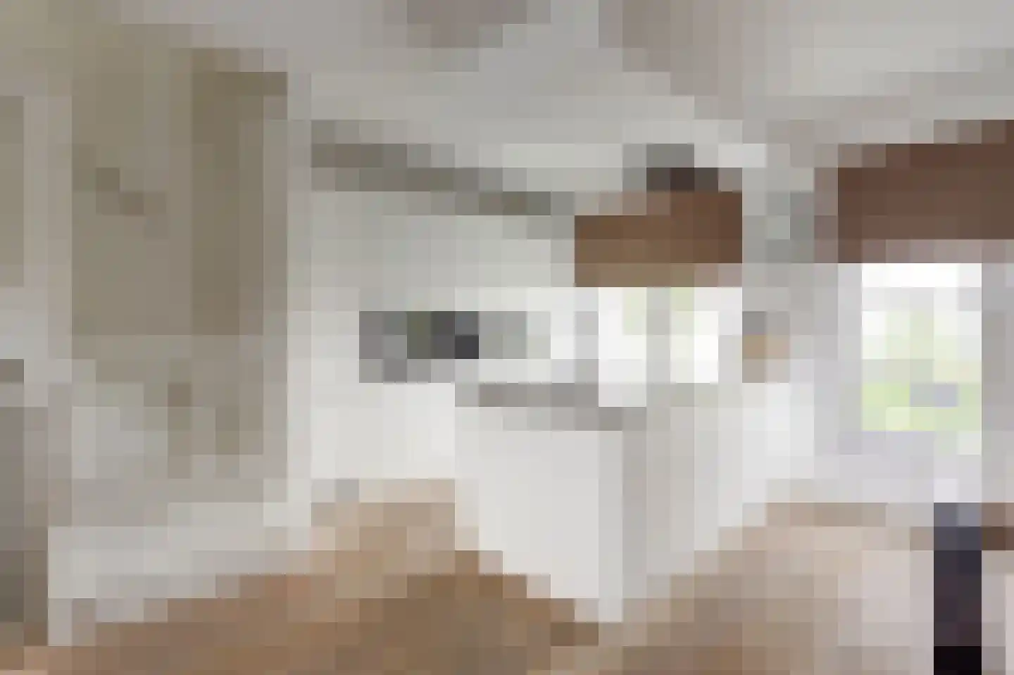 IJsseloogwal 75 Gouda thumbnail 19