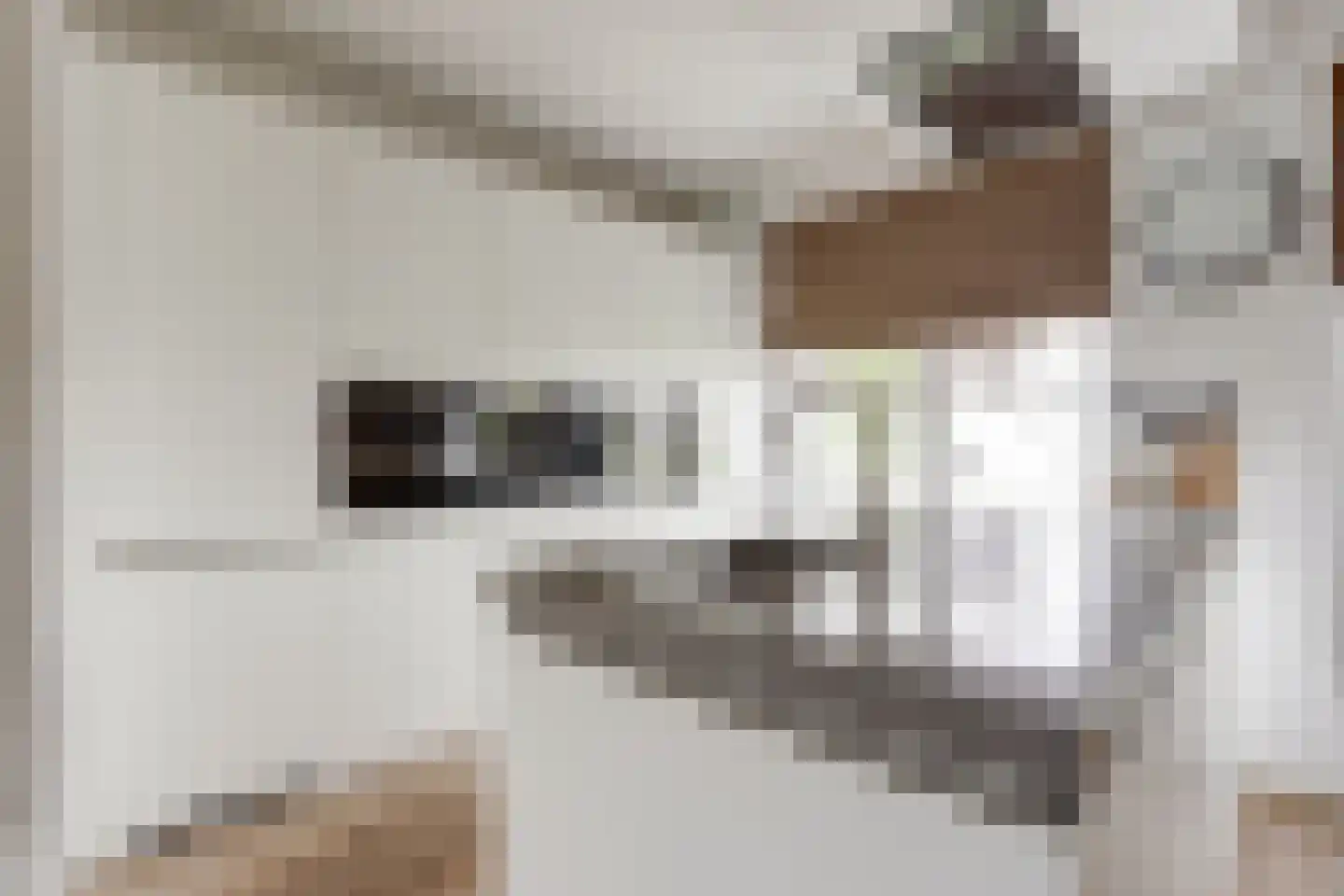 IJsseloogwal 75 Gouda thumbnail 20