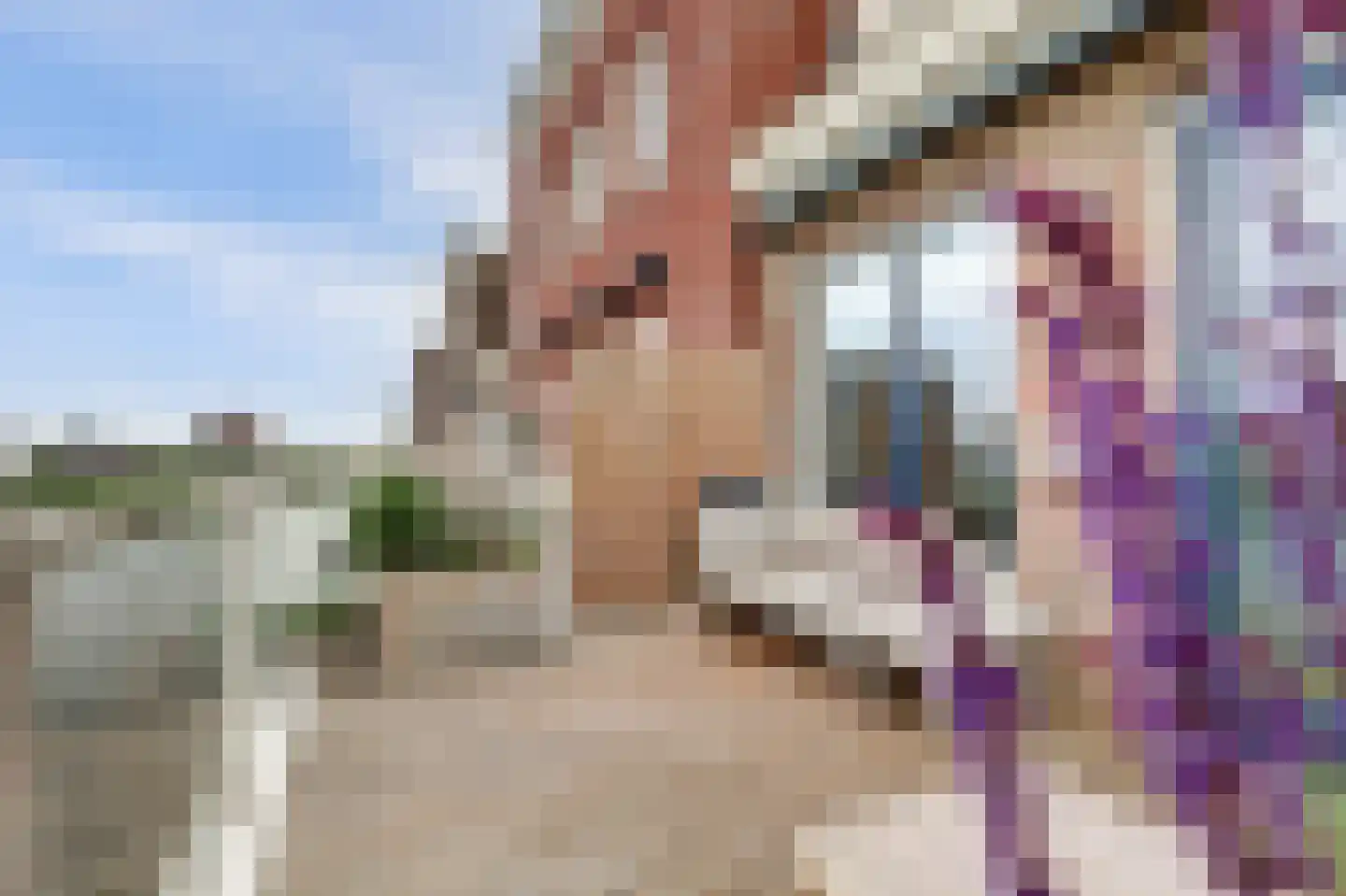 IJsseloogwal 75 Gouda thumbnail 23