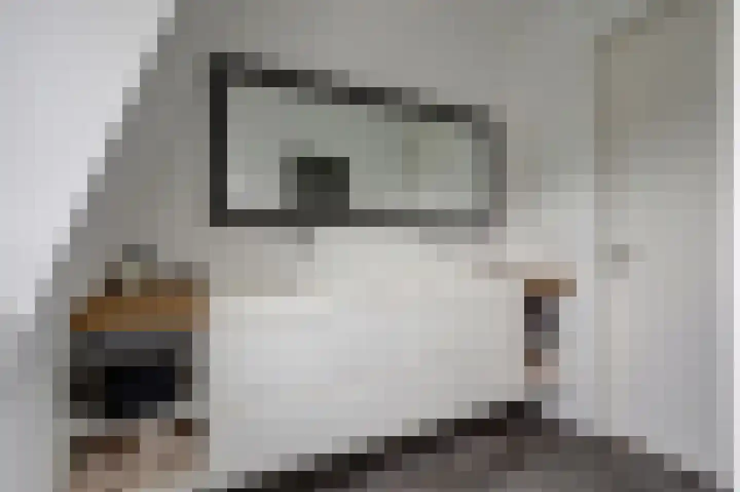 IJsseloogwal 75 Gouda thumbnail 35