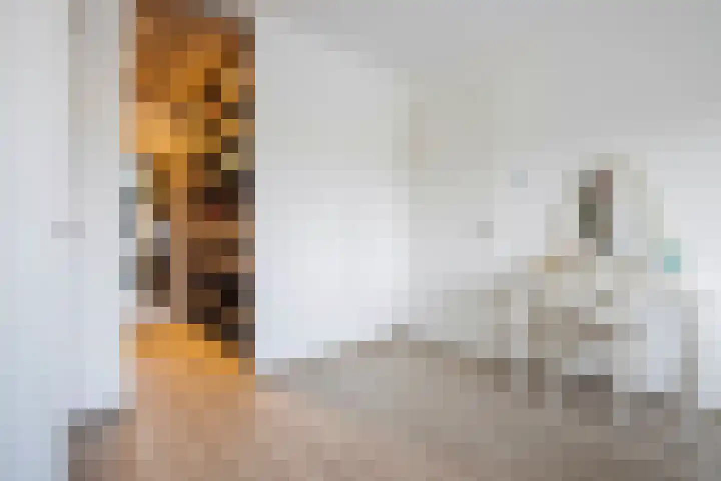 IJsseloogwal 8 Gouda thumbnail 19
