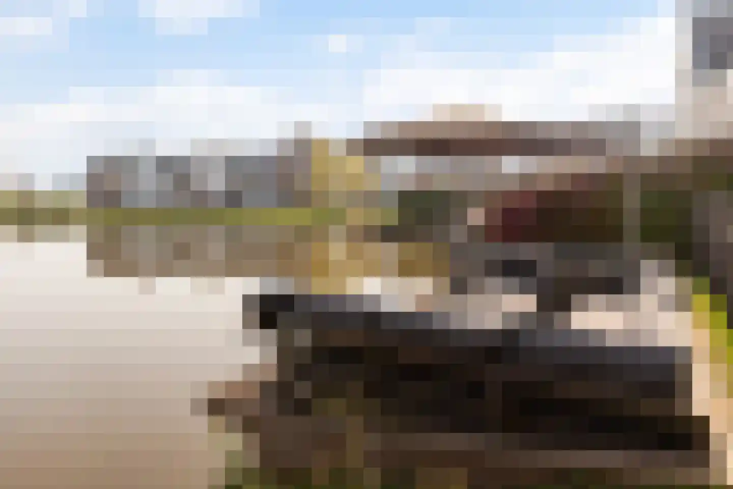 IJsseloogwal 8 Gouda thumbnail 34