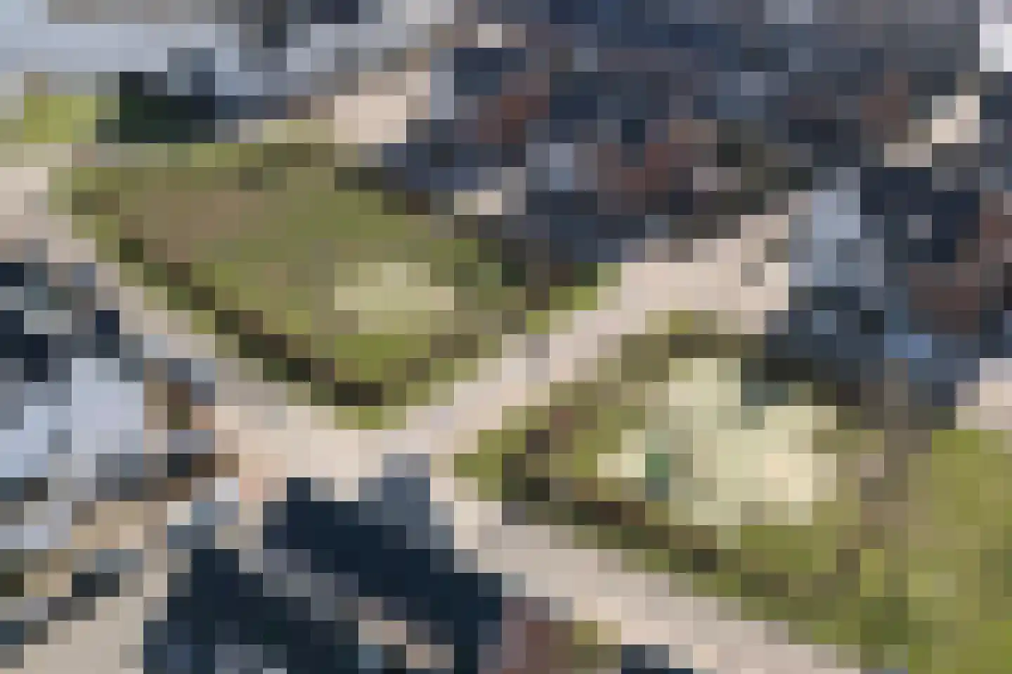 IJsseloogwal 8 Gouda thumbnail 38