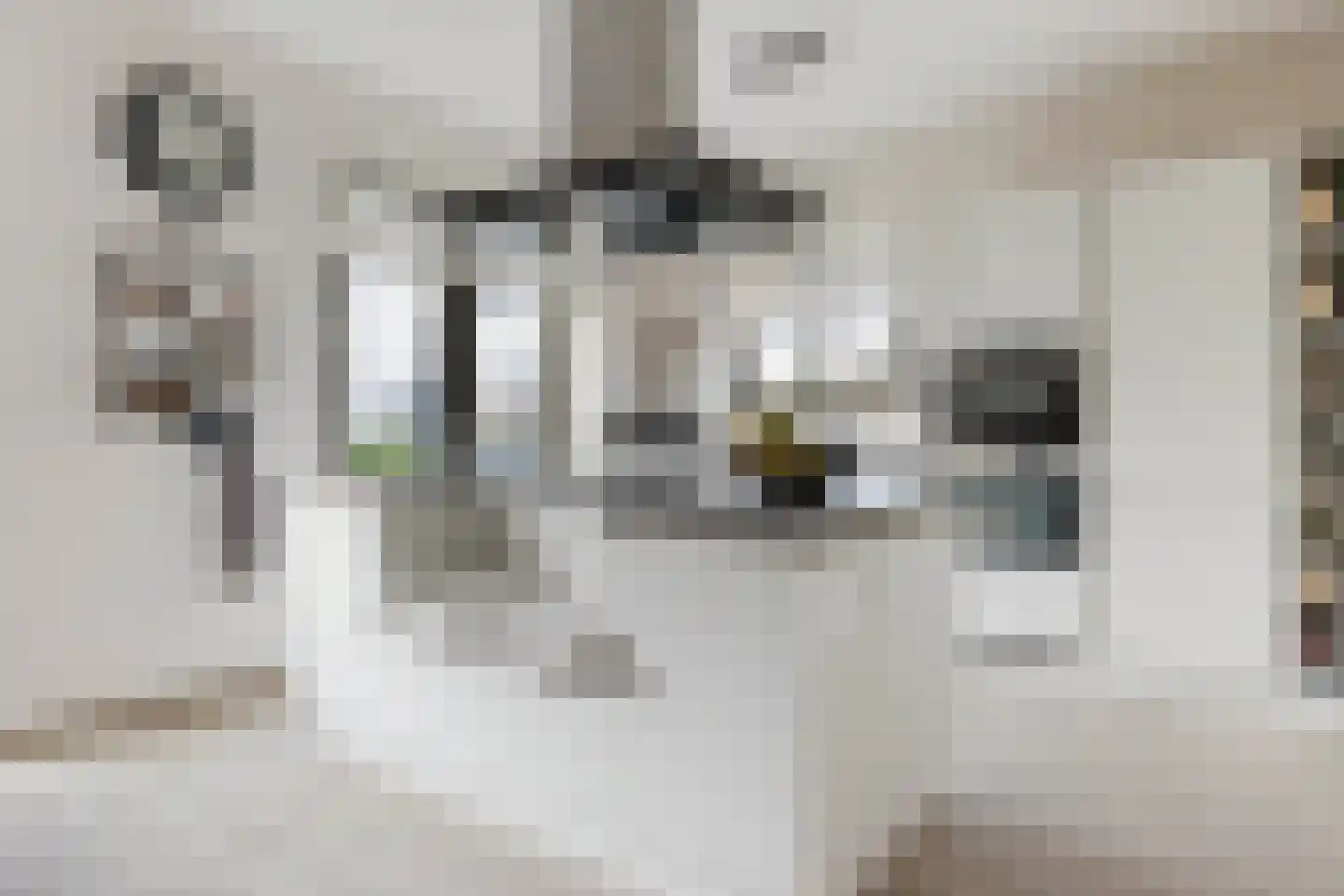 IJsseloogwal 8 Gouda thumbnail 9