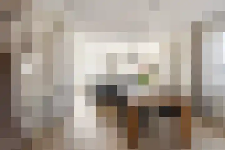 IJsseloogwal 81 Gouda thumbnail 10