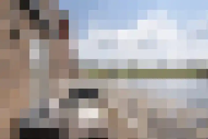 IJsseloogwal 81 Gouda thumbnail 19