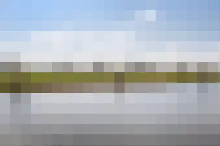 IJsseloogwal 81 Gouda thumbnail 34