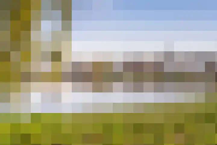 IJsseloogwal 81 Gouda thumbnail 35