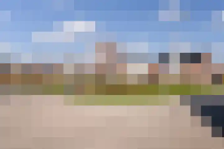 IJsseloogwal 81 Gouda thumbnail 36