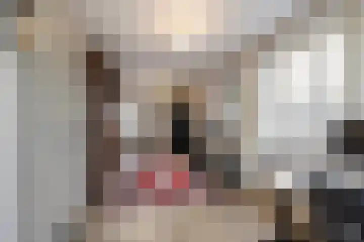 IJsseloogwal 81 Gouda thumbnail 6