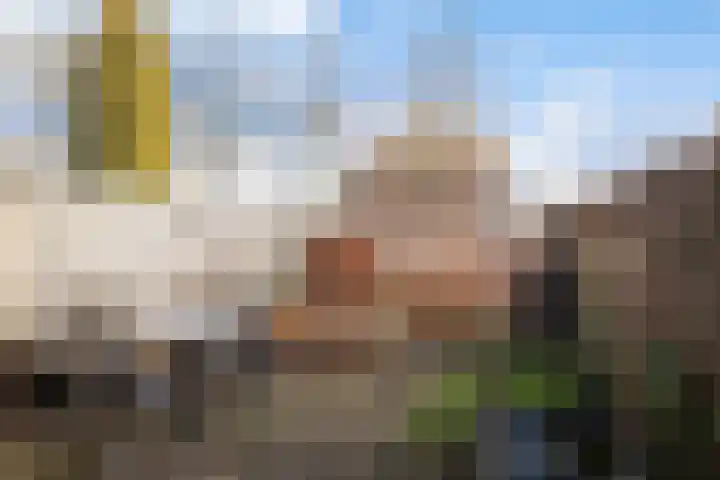 IJsseloord 186 Woerden thumbnail 15