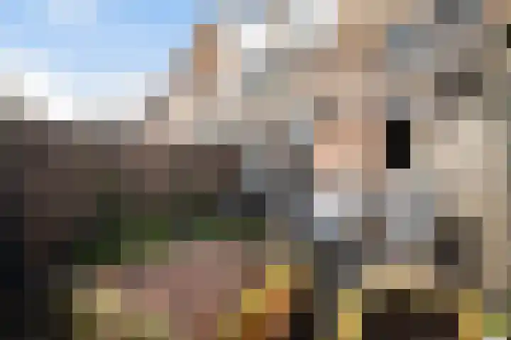 IJsseloord 186 Woerden thumbnail 18