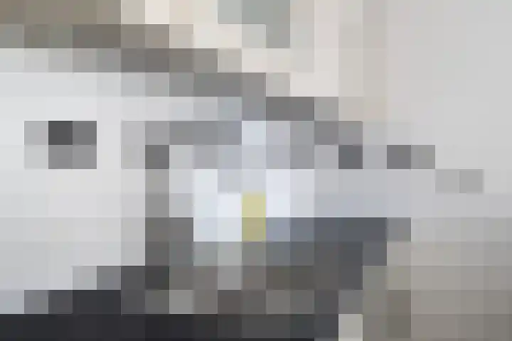 IJsseloord 186 Woerden thumbnail 20
