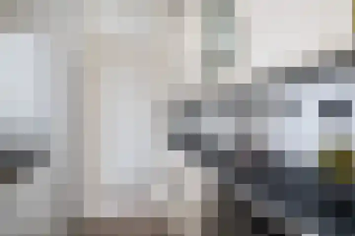IJsseloord 186 Woerden thumbnail 21