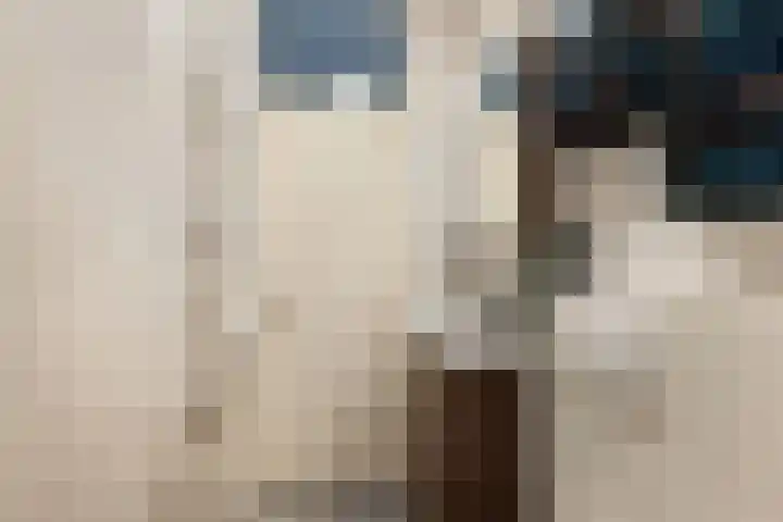 IJsseloord 186 Woerden thumbnail 30