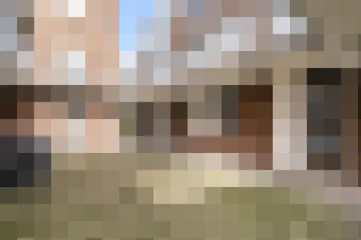 IJsseloord 186 Woerden thumbnail 33