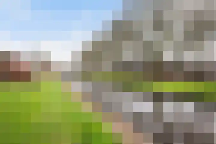 IJsseloord 186 Woerden thumbnail 39