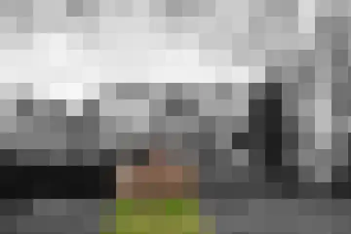 IJsseloord 186 Woerden thumbnail 4