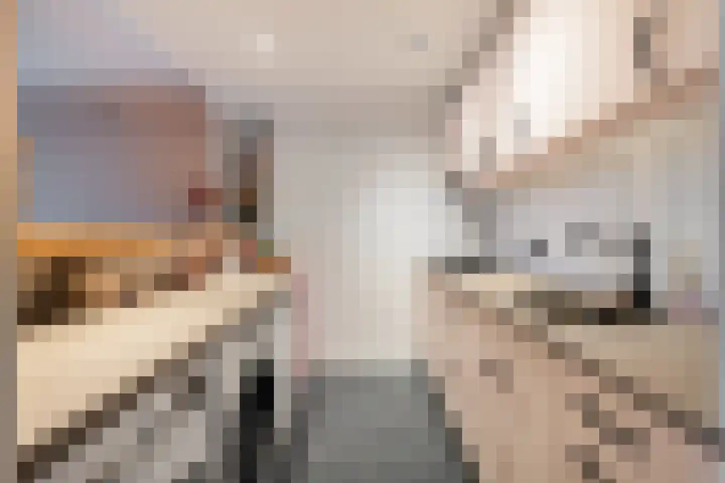 IJsseloord 189 Woerden thumbnail 14