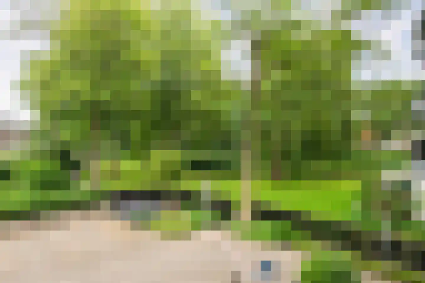 IJsseloord 189 Woerden thumbnail 31