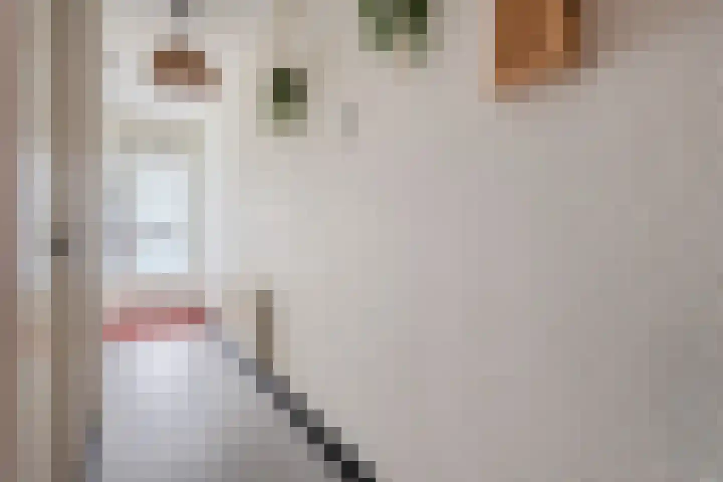 IJsseloord 189 Woerden thumbnail 4