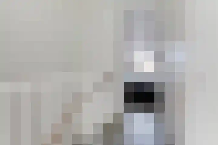 IJsseloord 196 Woerden thumbnail 15