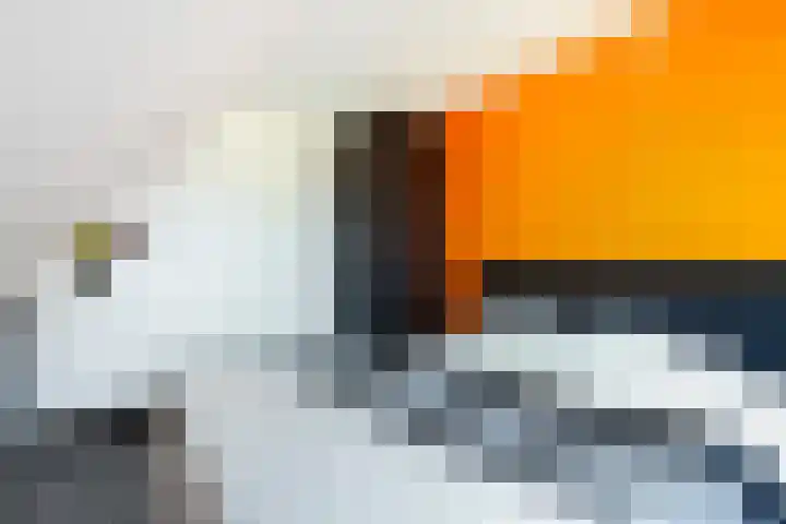 IJsseloord 196 Woerden thumbnail 18