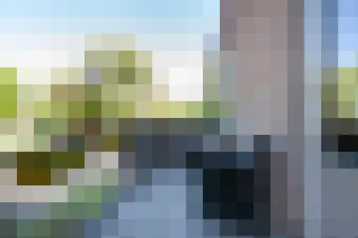 IJsseloord 196 Woerden thumbnail 29