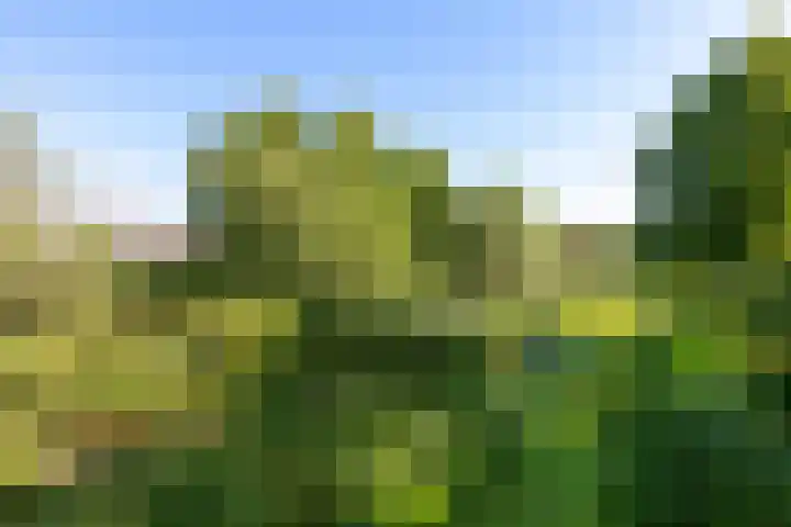 IJsseloord 196 Woerden thumbnail 34