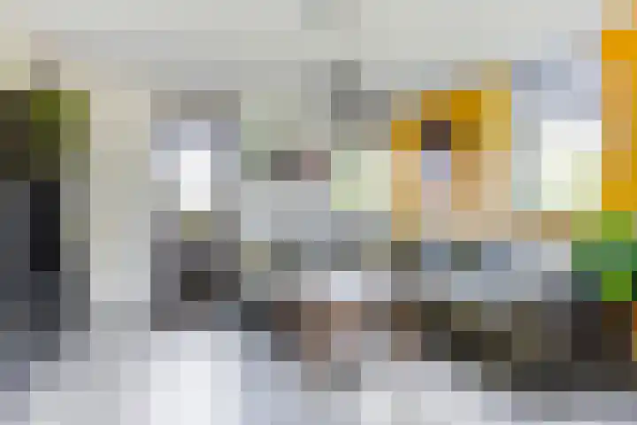IJsseloord 196 Woerden thumbnail 8