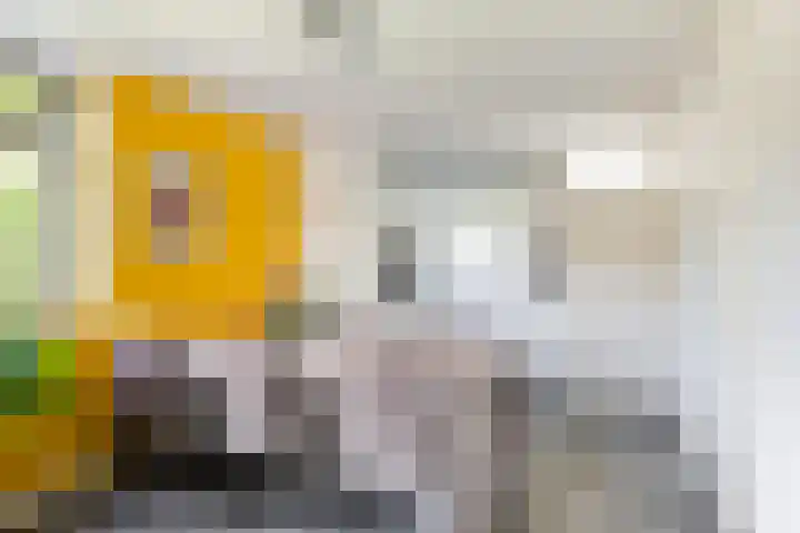 IJsseloord 196 Woerden thumbnail 9