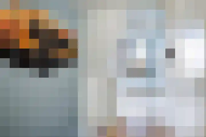 IJsseloord 201 Woerden thumbnail 15