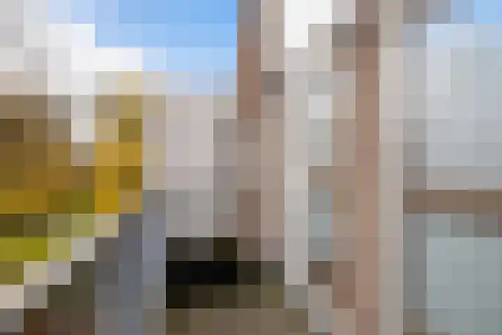 IJsseloord 201 Woerden thumbnail 24