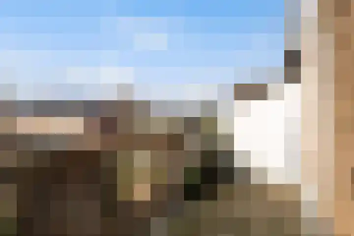 IJsseloord 201 Woerden thumbnail 25