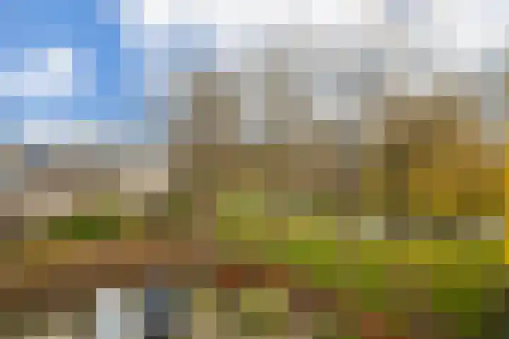 IJsseloord 201 Woerden thumbnail 28