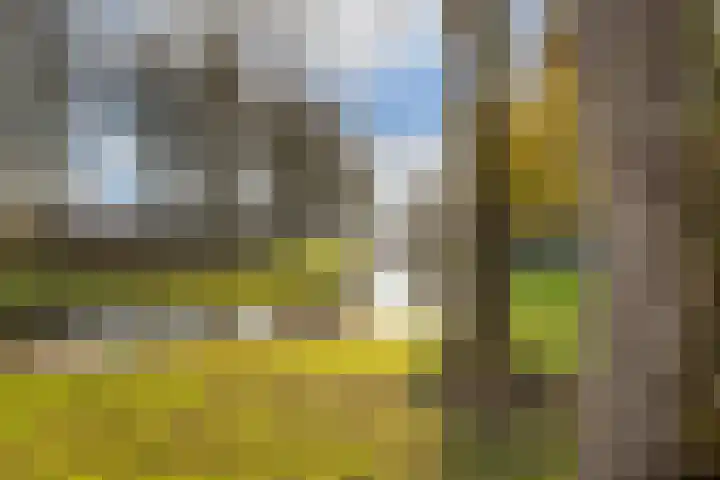 IJsseloord 201 Woerden thumbnail 29
