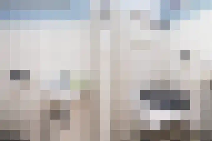 IJsseloord 201 Woerden thumbnail 6