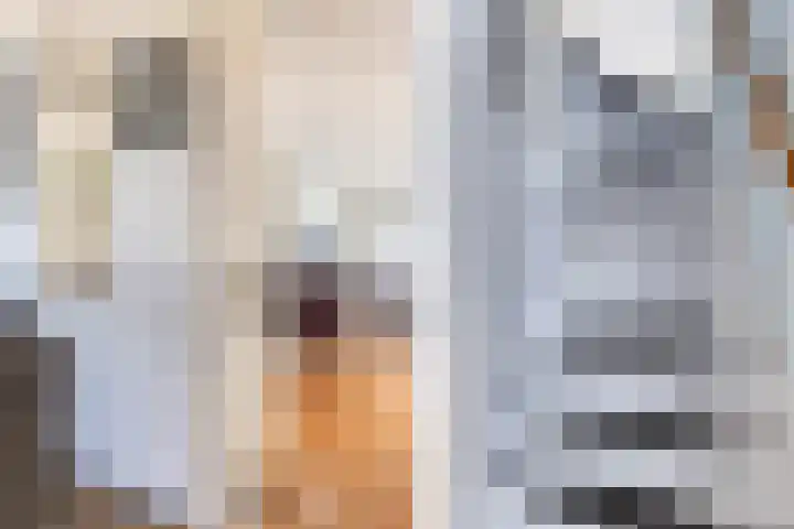 IJsseloord 201 Woerden thumbnail 7