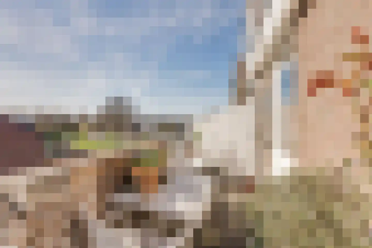 IJsseloord 205 Woerden thumbnail 4