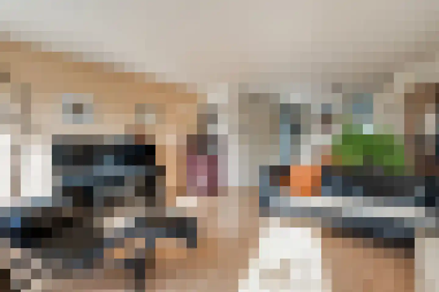 IJsseloord 205 Woerden thumbnail 6
