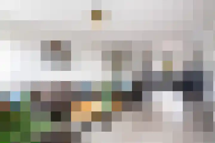 IJsseloord 208 Woerden thumbnail 12