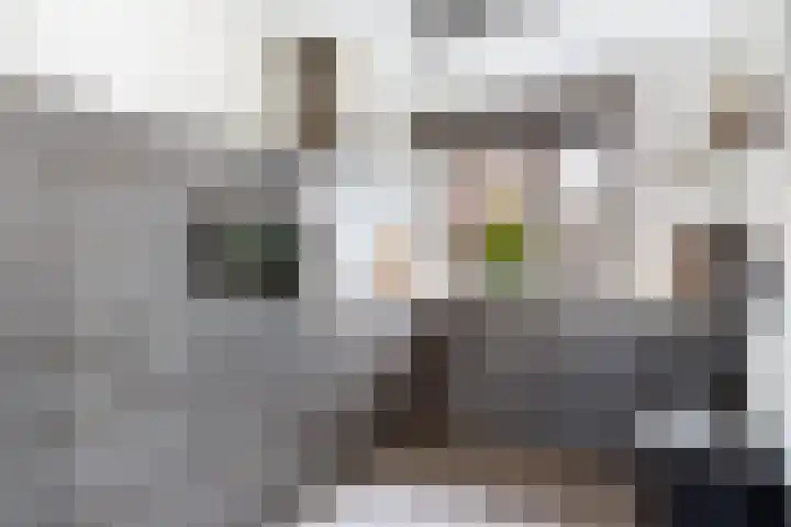 IJsseloord 208 Woerden thumbnail 16