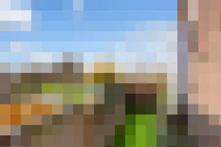 IJsseloord 208 Woerden thumbnail 17