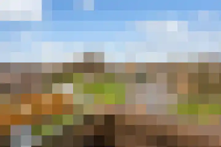 IJsseloord 208 Woerden thumbnail 18