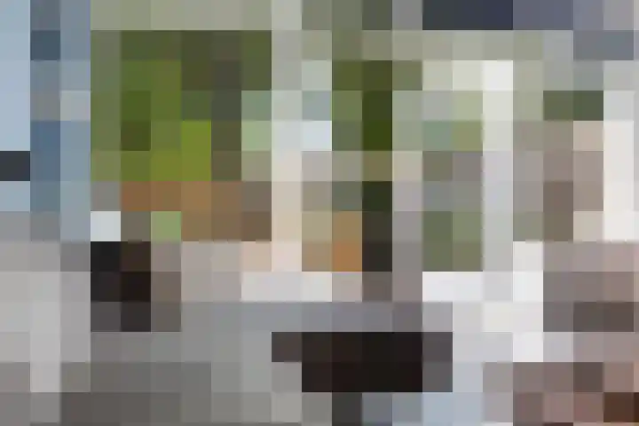 IJsseloord 34 Woerden thumbnail 11