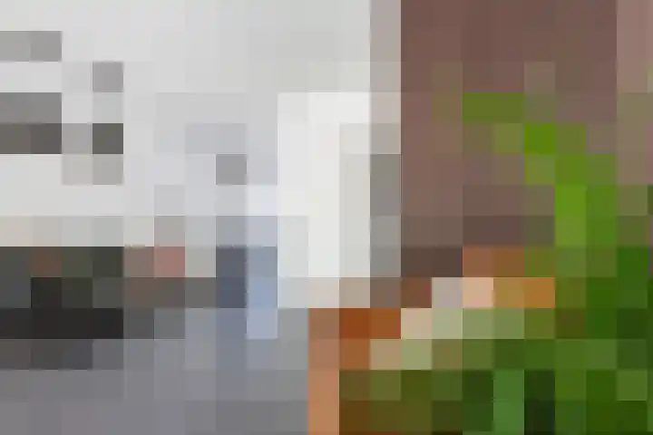 IJsseloord 34 Woerden thumbnail 16