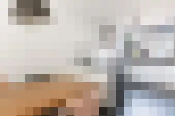 IJsseloord 34 Woerden thumbnail 17