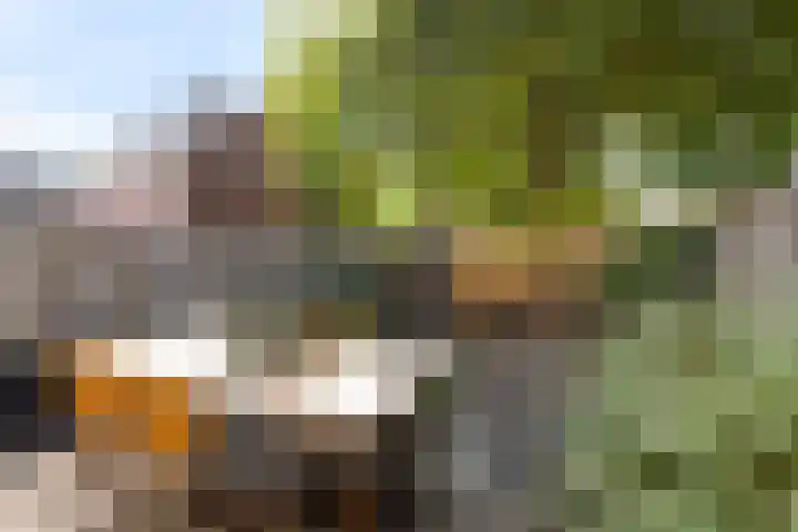 IJsseloord 34 Woerden thumbnail 21