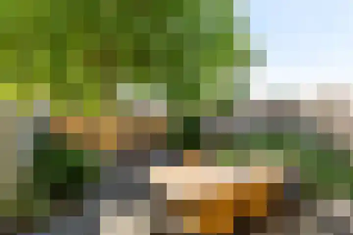 IJsseloord 34 Woerden thumbnail 22