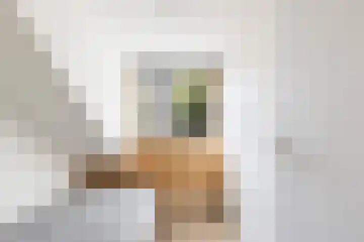 IJsseloord 34 Woerden thumbnail 33